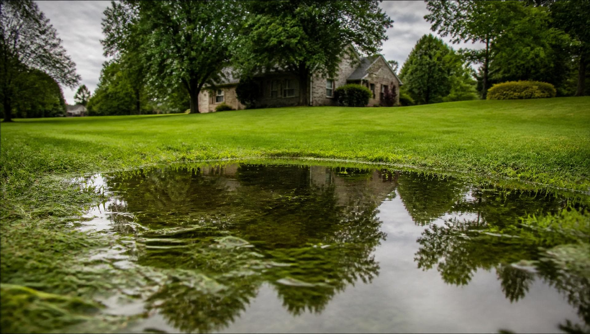 Standing water pooling on a green lawn in front of a Kentucky home after rain