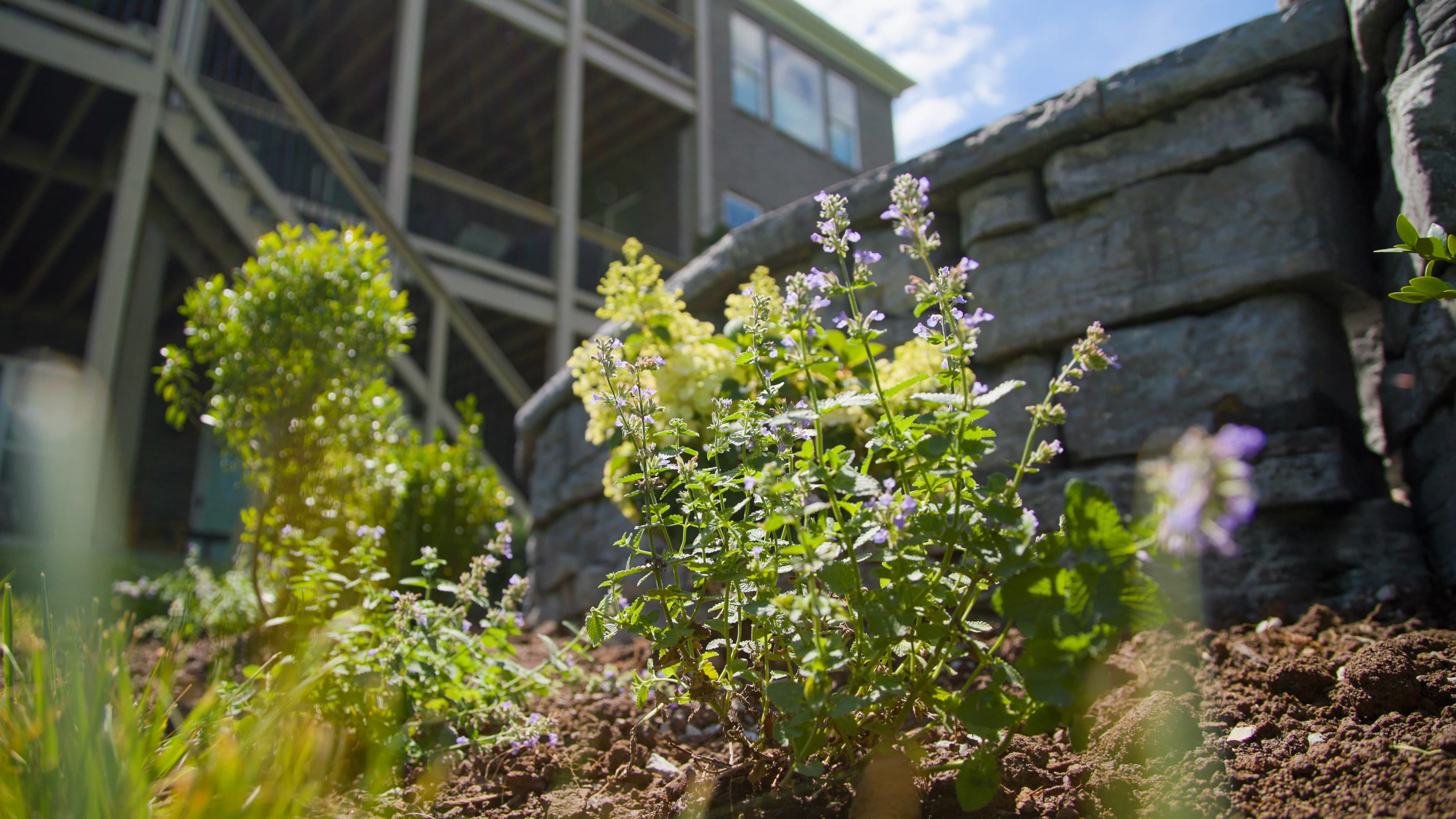 Landscaping services in Georgetown